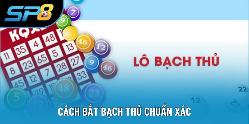 Cách Bắt Bạch Thủ Chuẩn Xác: Hướng Dẫn Chi Tiết Cho Bạn