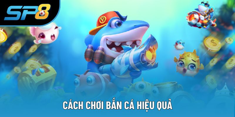 Cách Chơi Bắn Cá Hiệu Quả - Các Nguyên Tắc Đặc Trưng Ở SP8
