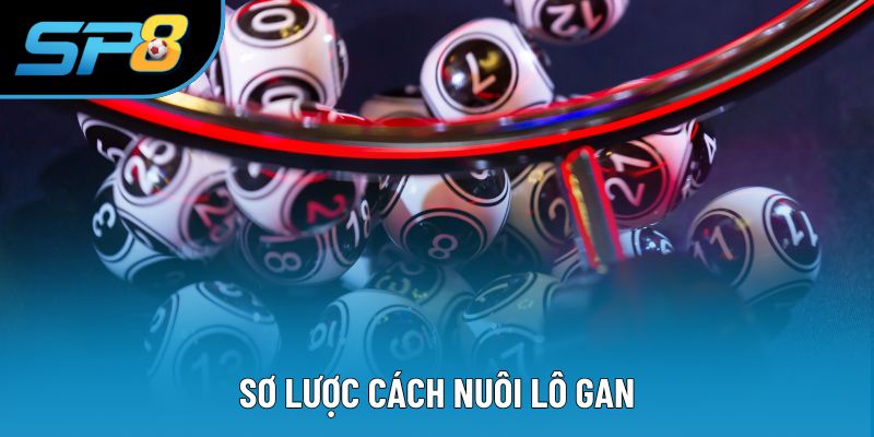 Sơ lược cách nuôi lô gan