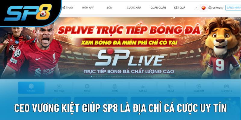 CEO Vương Kiệt giúp SP8 là địa chỉ cá cược uy tín
