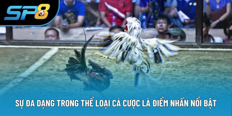 Sự đa dạng trong thể loại cá cược là điểm nhấn nổi bật