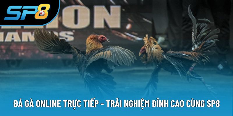 Đá Gà Online Trực Tiếp - Trải Nghiệm Đỉnh Cao Cùng SP8