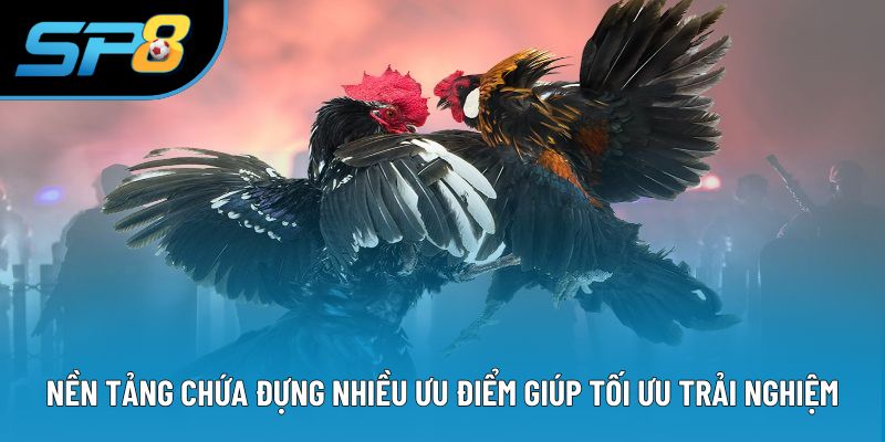 Nền tảng chứa đựng nhiều ưu điểm giúp tối ưu trải nghiệm