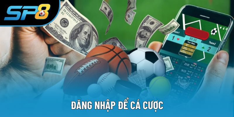 Đăng nhập SP8 để cá cược mỗi ngày