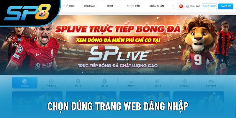 Đăng nhập SP8 đúng hệ thống để sử dụng dịch vụ uy tín