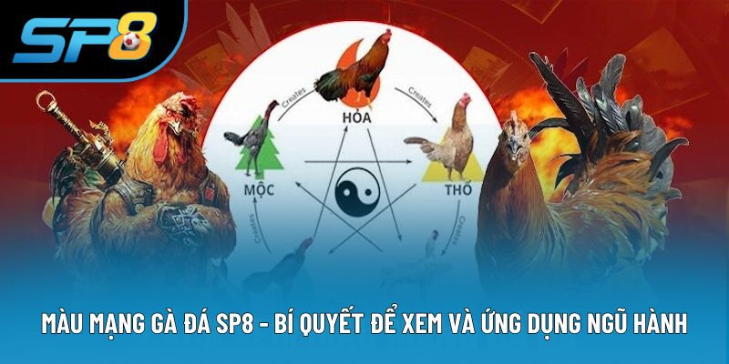 Màu Mạng Gà Đá SP8 - Bí Quyết Để Xem Và Ứng Dụng Ngũ Hành