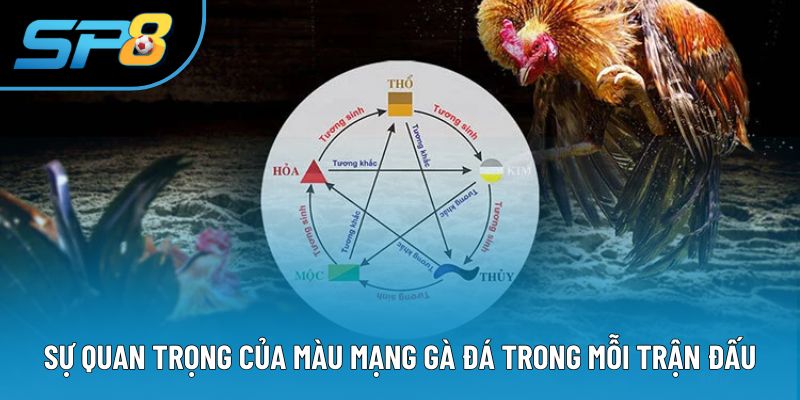 Sự quan trọng của màu mạng gà đá trong mỗi trận đấu