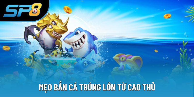 Mẹo Bắn Cá Trúng Lớn Từ Cao Thủ - 4 Kinh Nghiệm Hay Nhất