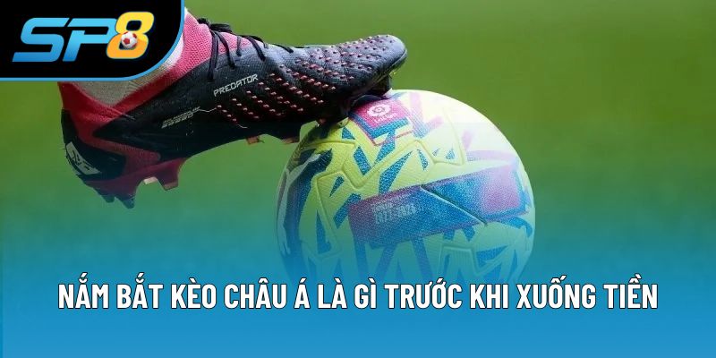 Nắm bắt kèo châu Á là gì trước khi xuống tiền