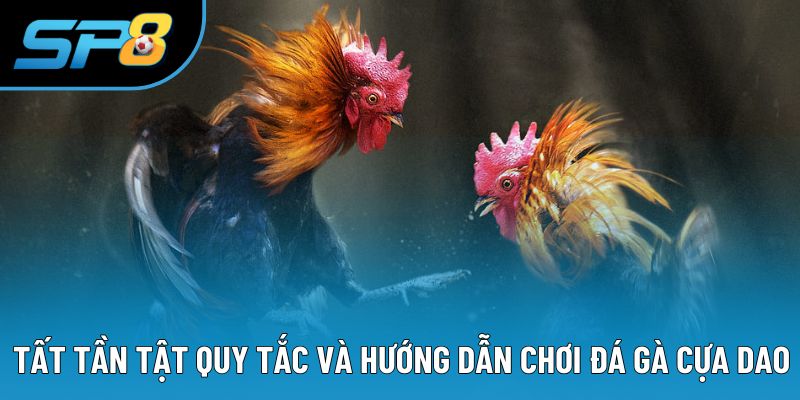 Tất tần tật quy tắc và hướng dẫn chơi đá gà cựa dao