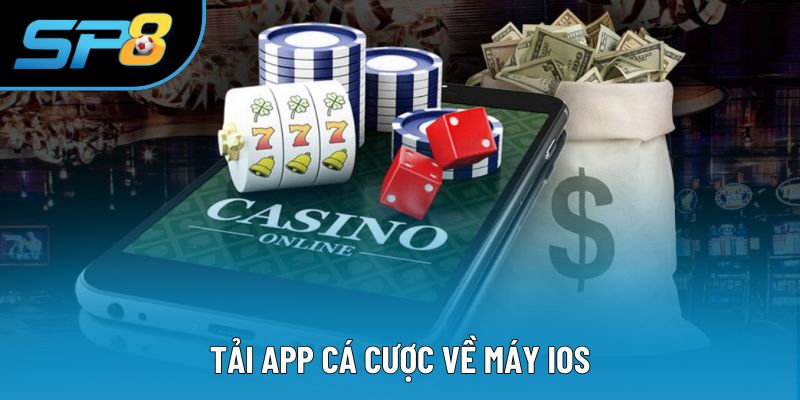 Tải app SP8 trên điện thoại IOS